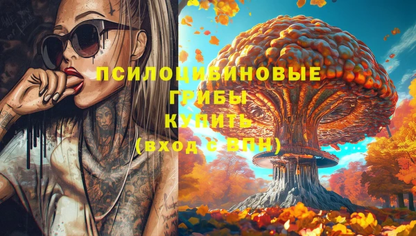 мяу мяу мука Белокуриха