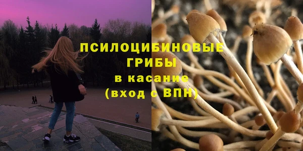 мяу мяу мука Белокуриха
