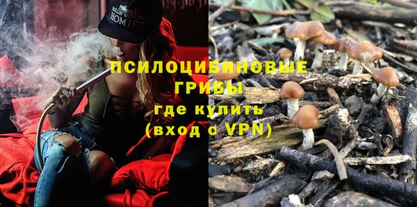 мяу мяу мука Белокуриха