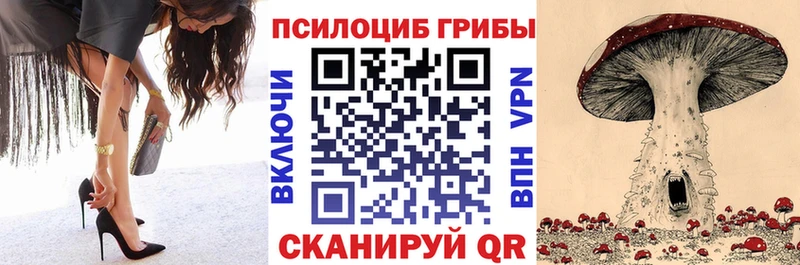 Псилоцибиновые грибы Cubensis  наркошоп  kraken ССЫЛКА  Надым 