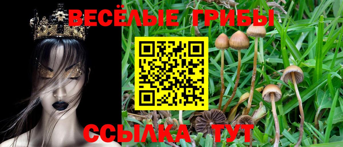 Галлюциногенные грибы мицелий Надым